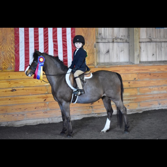 Meet your Posher, Dana and her equestrian daughter - Picture 7 of 8